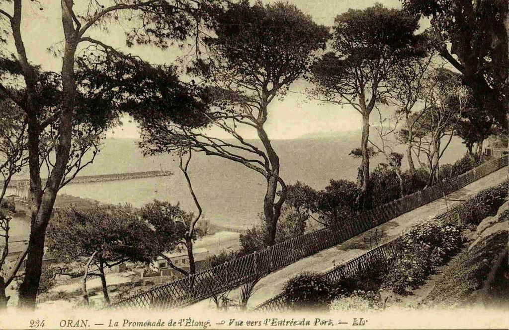 PL b - 045- Promenade de Letang B.jpg